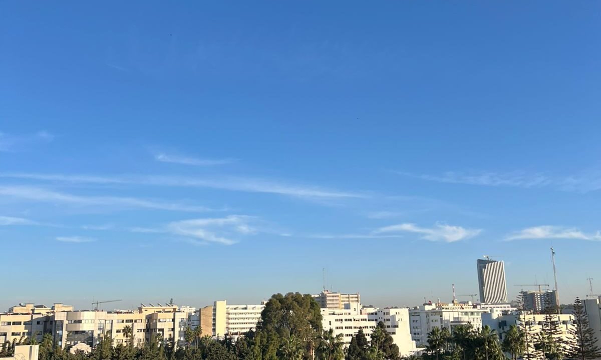 WhatsApp Image 2025-11-06 at 17.41.51(3)