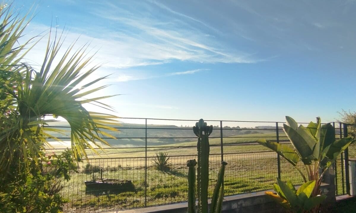 WhatsApp Image 2025-11-24 at 11.38.00 (1)