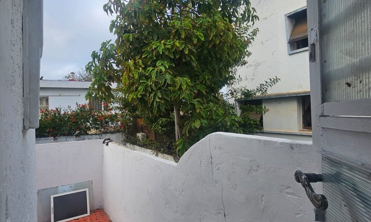 WhatsApp Image 2025-12-03 at 10.31.27