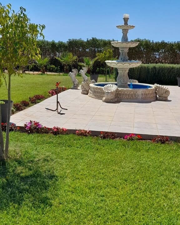 WhatsApp Image 2025-12-24 at 10.22.37