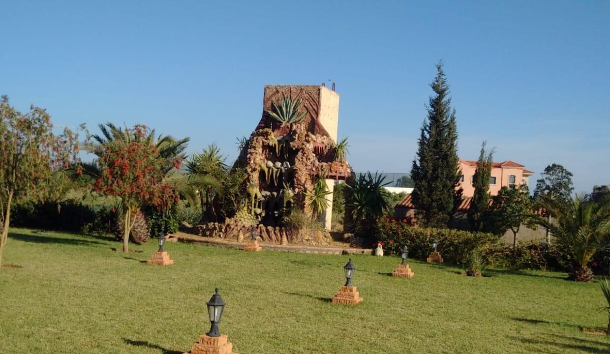 WhatsApp Image 2025-12-24 at 11.47.18(1)