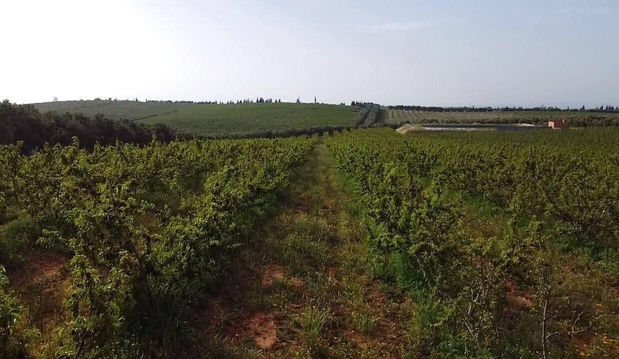 WhatsApp Image 2025-12-27 at 10.07.22