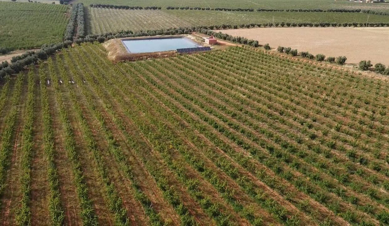 WhatsApp Image 2025-12-27 at 10.07.23