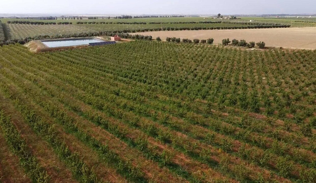 WhatsApp Image 2025-12-27 at 10.07.24