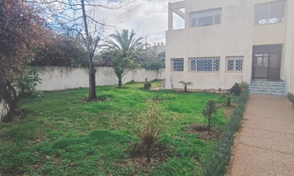 WhatsApp Image 2026-01-17 at 12.03.59 (9)