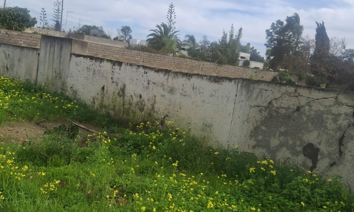 WhatsApp Image 2026-02-07 at 20.27.31 (1)