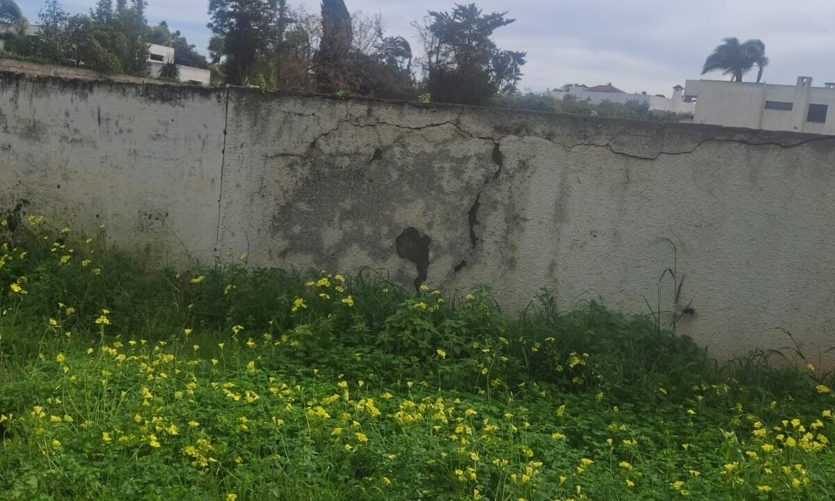 WhatsApp Image 2026-02-07 at 20.27.31 (2)