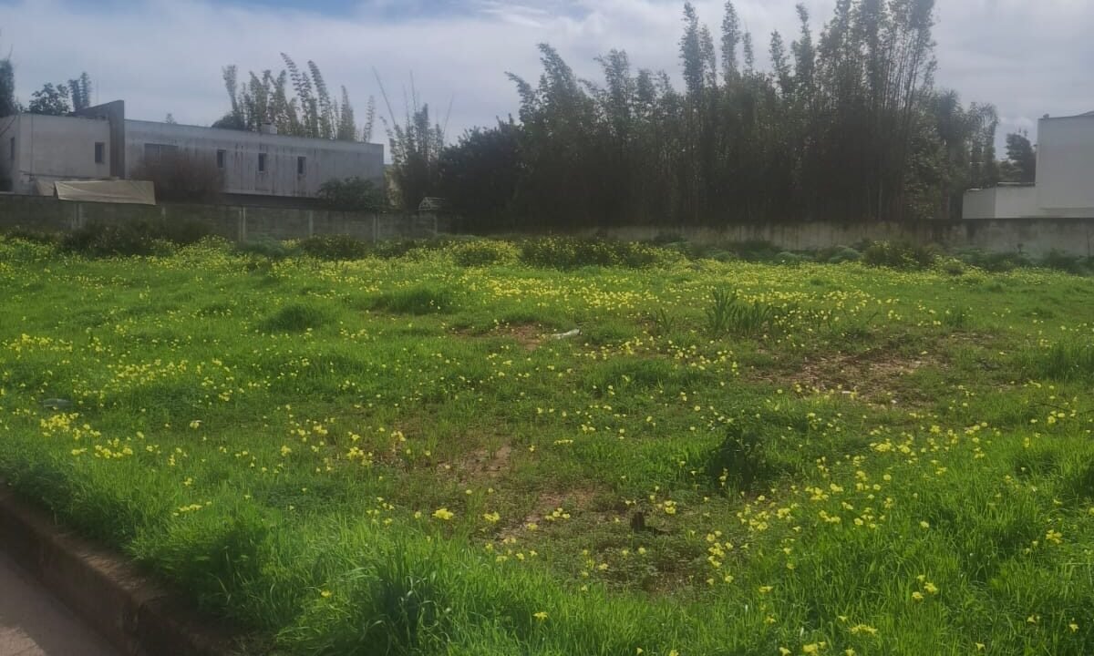 WhatsApp Image 2026-02-07 at 20.28.55