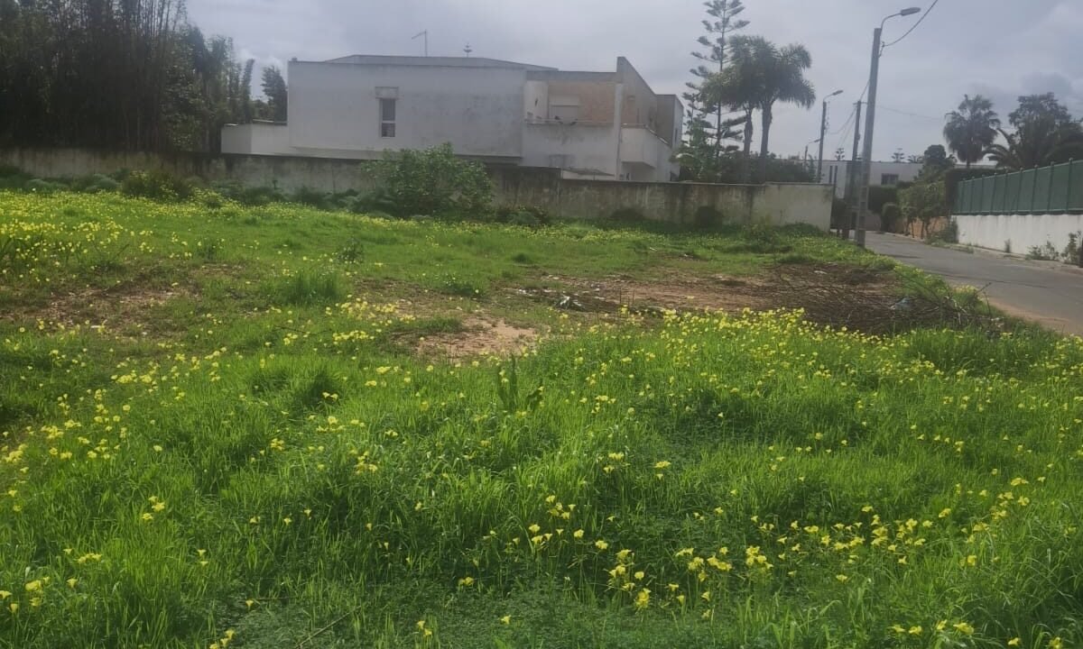 WhatsApp Image 2026-02-07 at 20.28.56