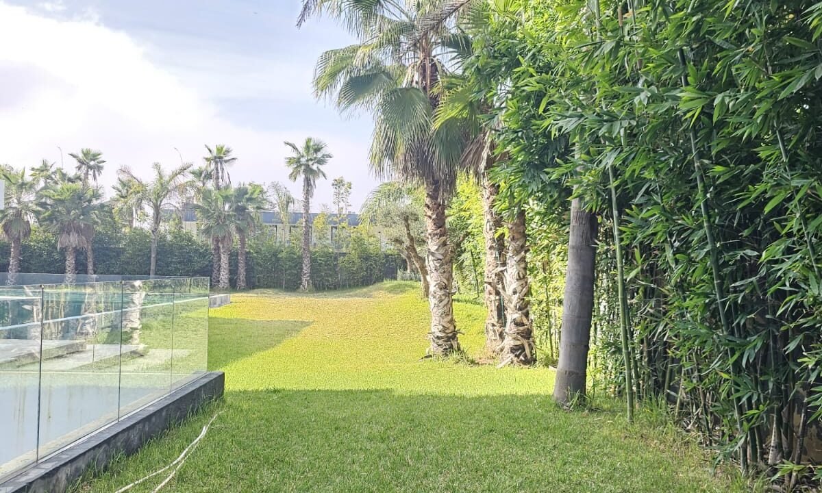 WhatsApp Image 2026-02-11 at 18.15.09 (11)