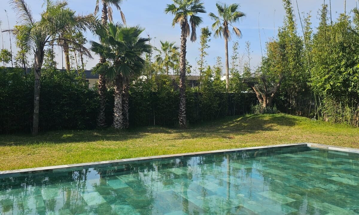 WhatsApp Image 2026-02-11 at 18.15.09 (12)