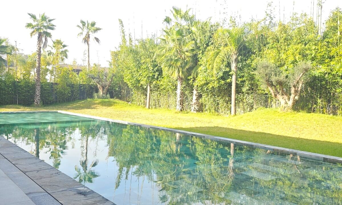 WhatsApp Image 2026-02-11 at 18.15.09 (9)