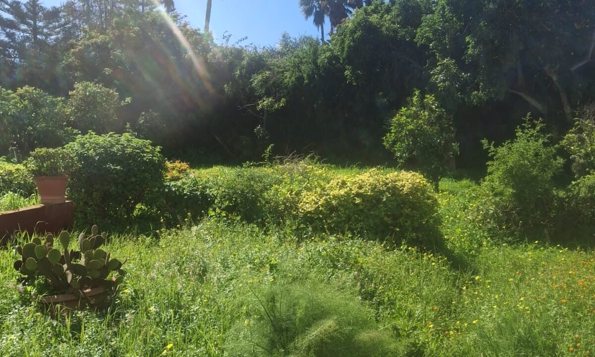 WhatsApp Image 2026-02-20 at 16.08.19-1