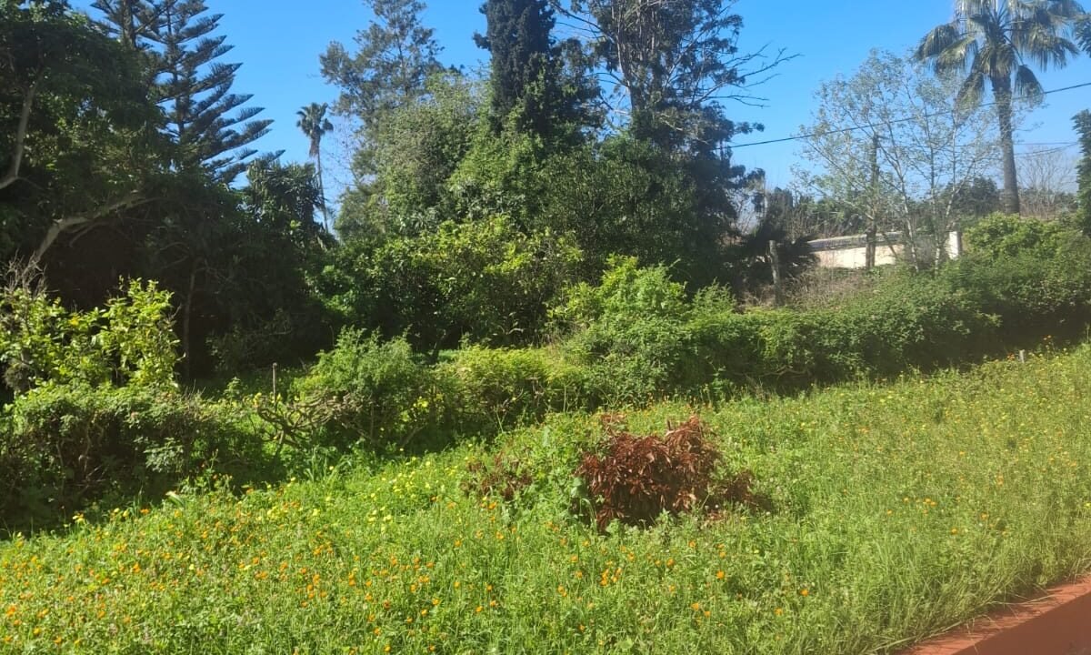 WhatsApp Image 2026-02-20 at 16.08.19