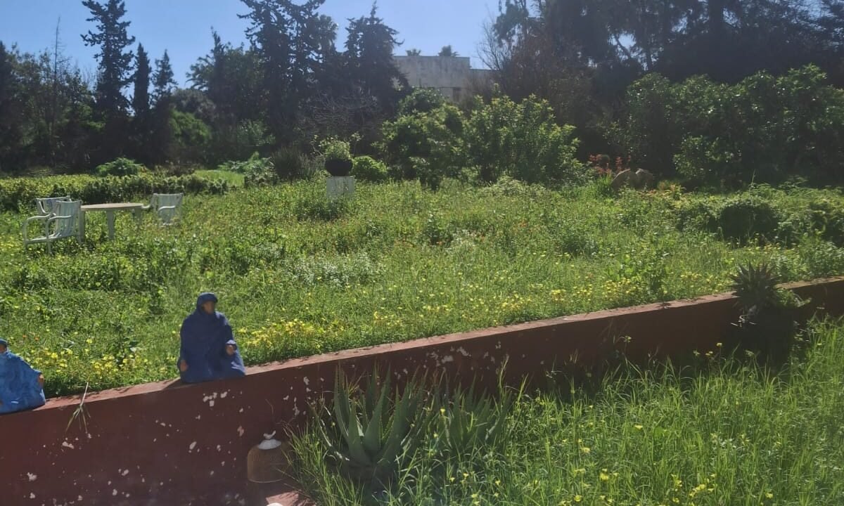 WhatsApp Image 2026-02-20 at 16.08.20-2