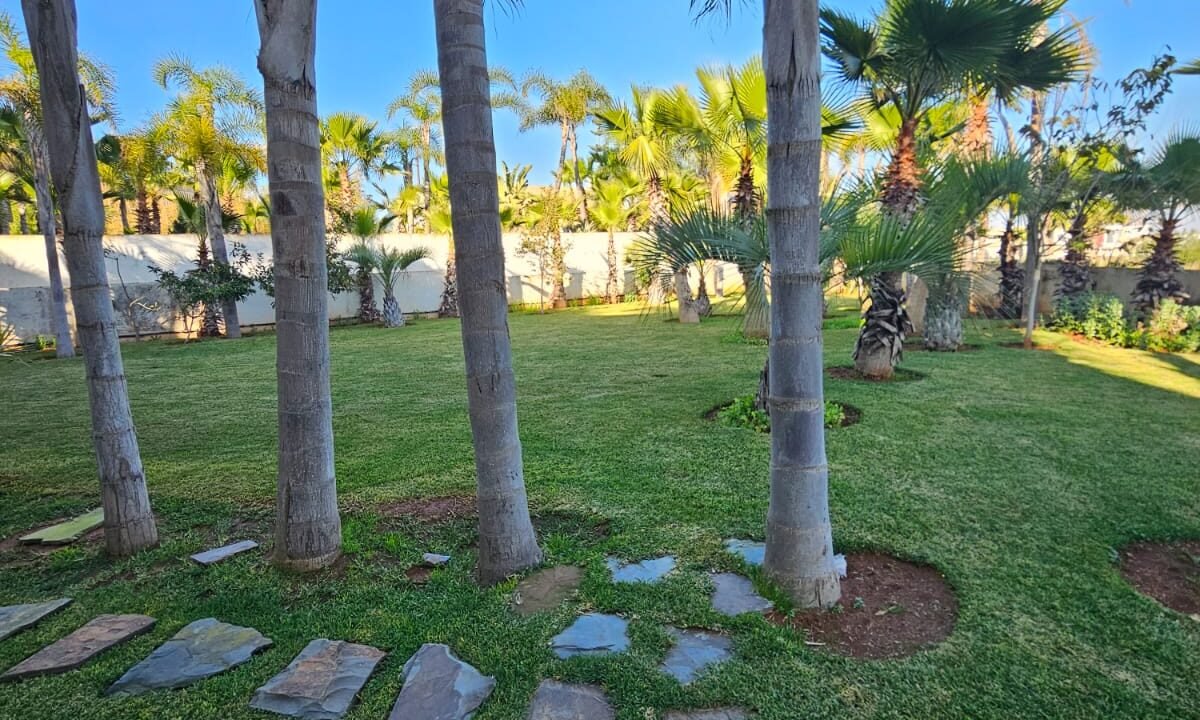 WhatsApp Image 2024-02-06 at 10.19.33