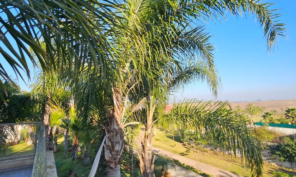 WhatsApp Image 2024-02-06 at 10.19.40