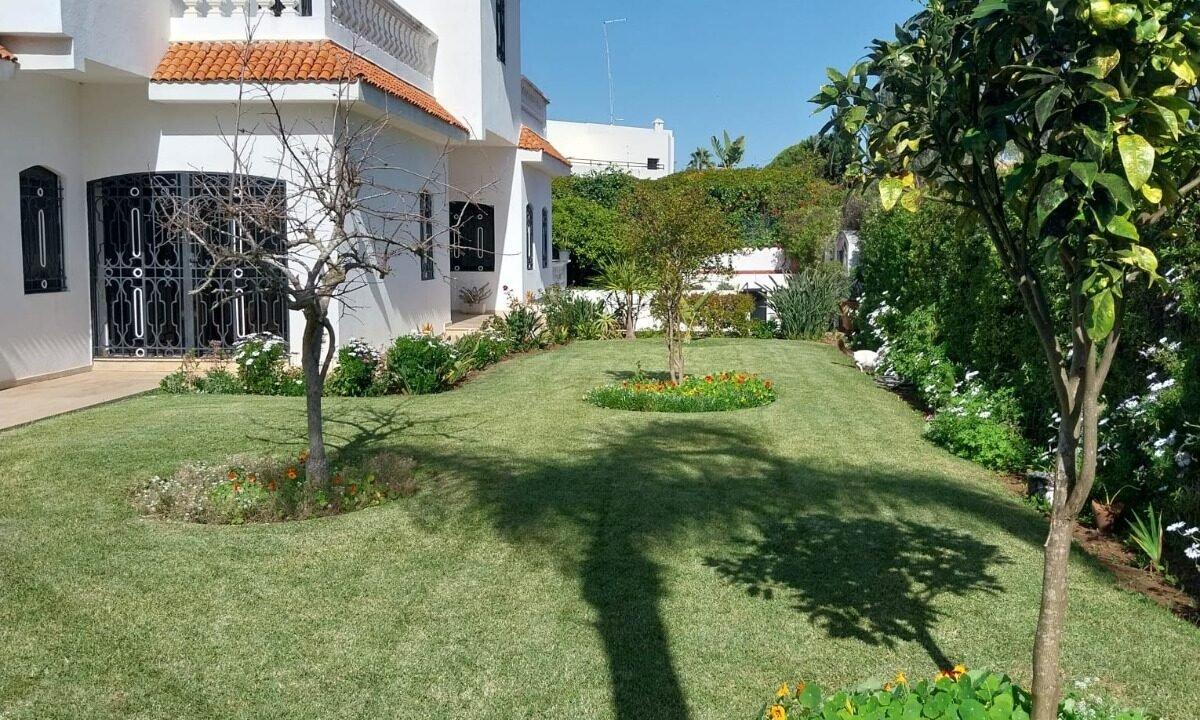 WhatsApp Image 2026-05-15 at 16.13.25