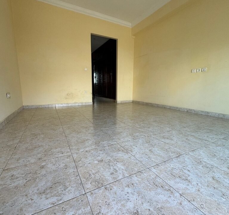 image (5)
