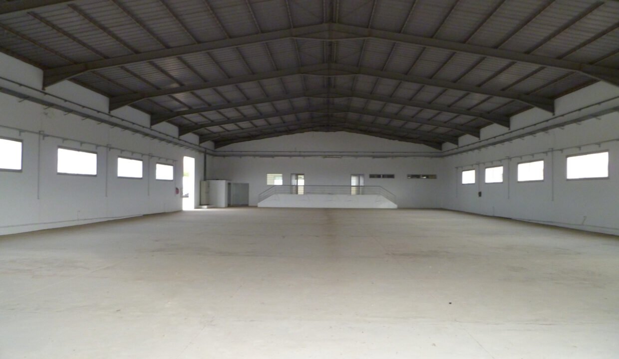 P1000149.jpg