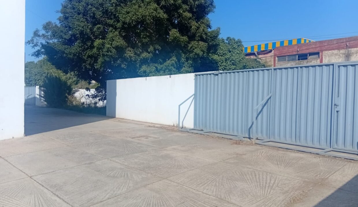 WhatsApp Image 2026-06-19 at 11.47.49 (3)